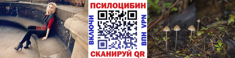 продажа наркотиков  Сертолово  ссылка на мегу ссылка  Псилоцибиновые грибы GOLDEN TEACHER 